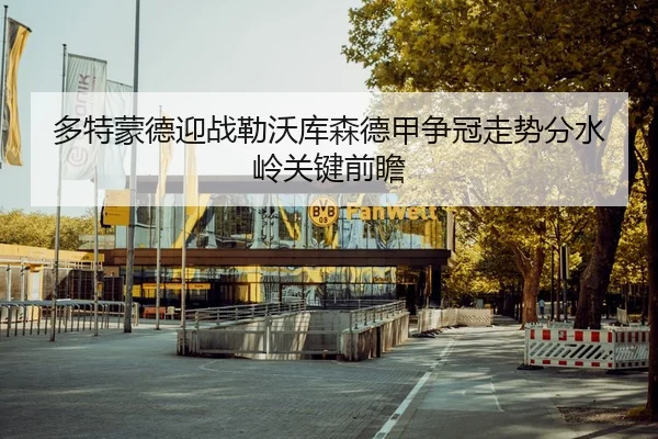 多特蒙德迎战勒沃库森德甲争冠走势分水岭关键前瞻